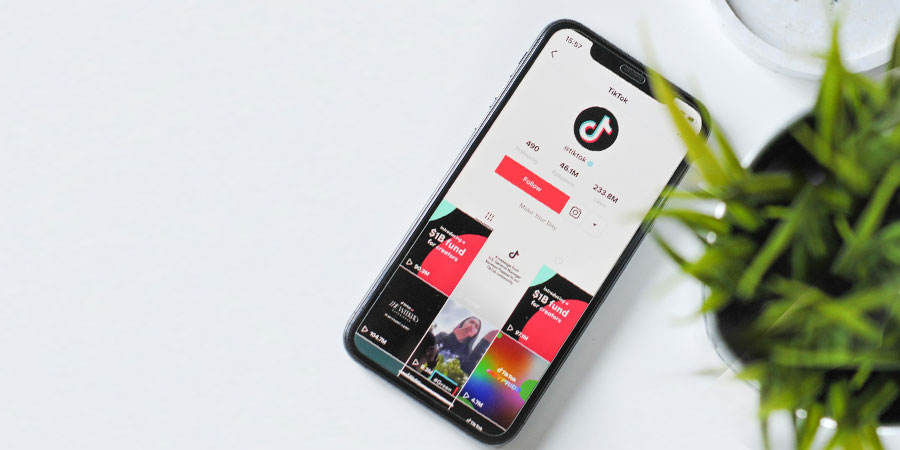 Iphone XS with TikTok app on its screen beside a potted plant
